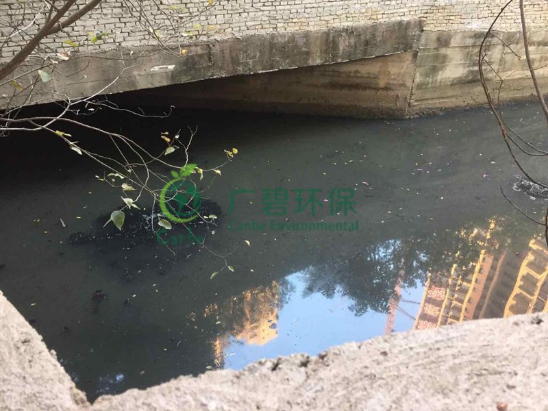 順德灝景灣河湧水質應急（jí）處理治理(圖1)