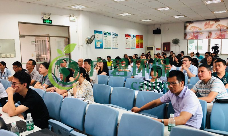 廣碧環保參與2019年順德區容桂華口社區“雙達標”整治工（gōng）作(圖4)