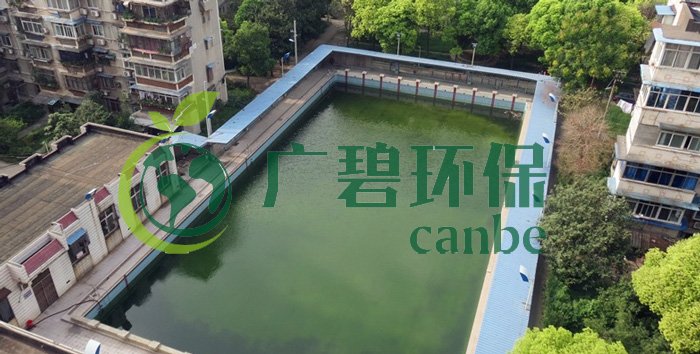 遊泳池水變綠是什麽原因？遊泳池水處理方法(圖1)