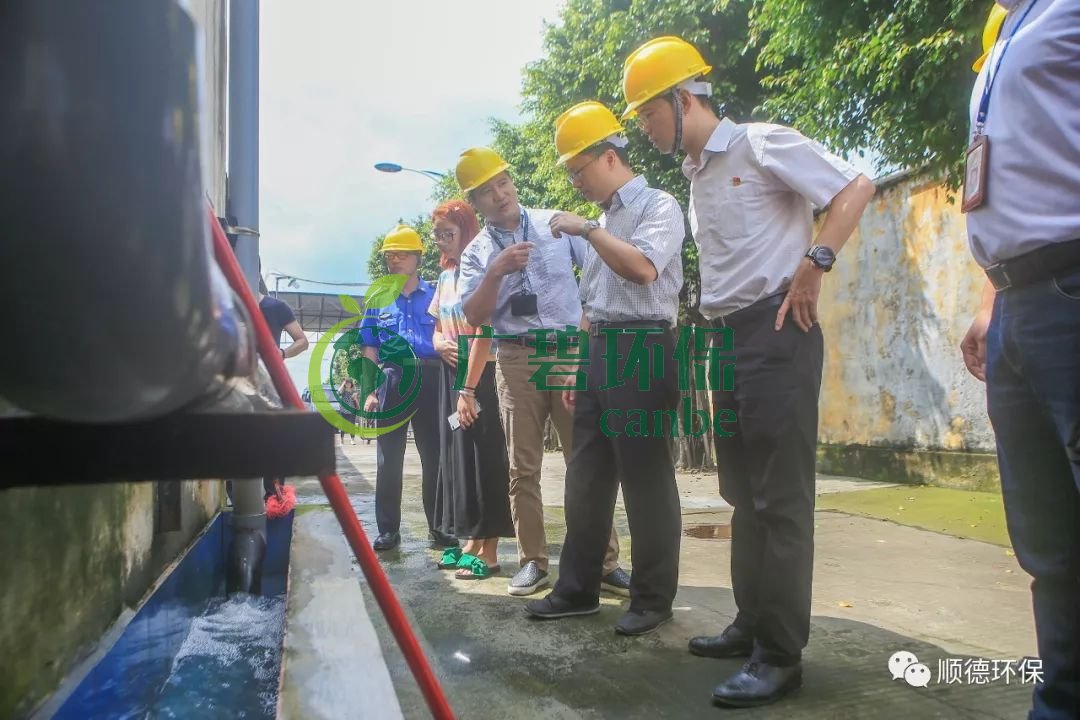 佛山順（shùn）德區持續鋪開生態環境（jìng）保護專項執法行動(圖2)