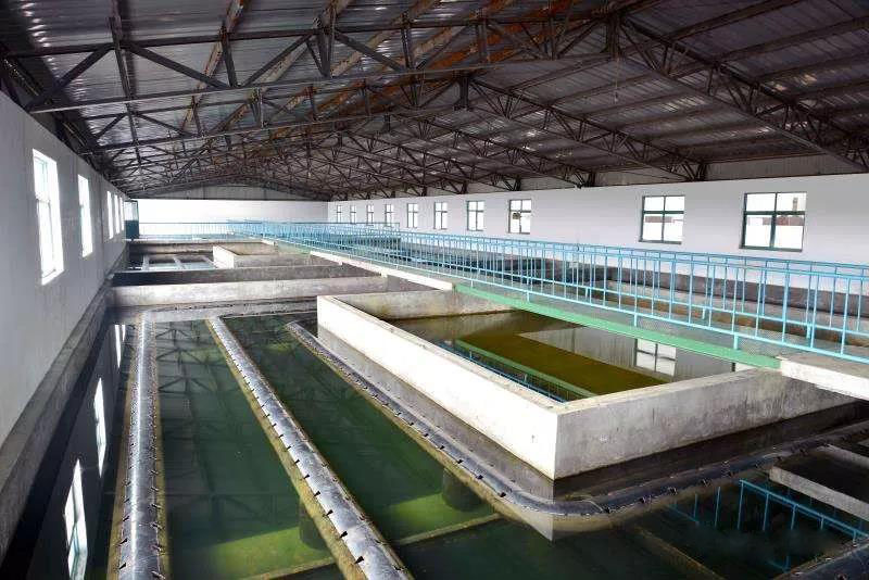 什麽是（shì）製糖廢（fèi）水？製糖廢水處理技術