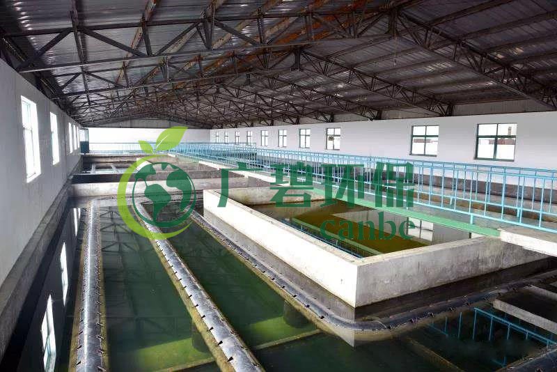 什麽是製糖廢水？製糖廢水處理技術(圖1)
