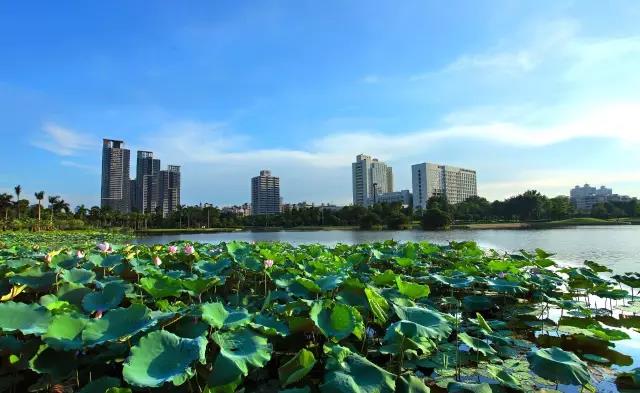 佛山市各區鎮空氣質量與水環境質量排名2019年1-5月（yuè）
