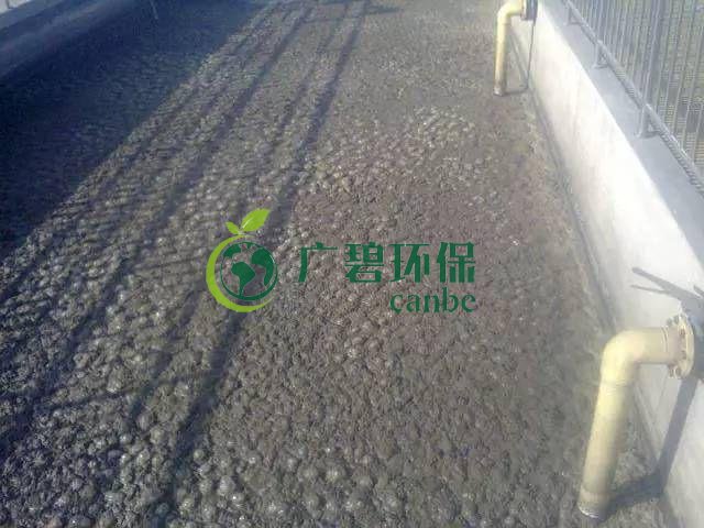 汙泥發黑(hēi)是什麽原(yuán)因造成?汙泥發黑經驗分享(圖1) 汙泥發黑是什麽原因造成?汙泥發(fā)黑經驗分享(圖1)