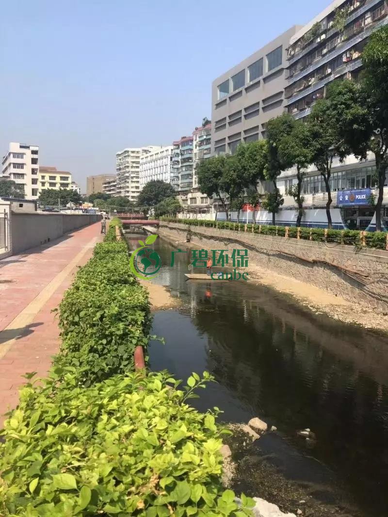 廣州白雲區棠景沙湧（yǒng）已完成雨汙分流（liú）(圖2)