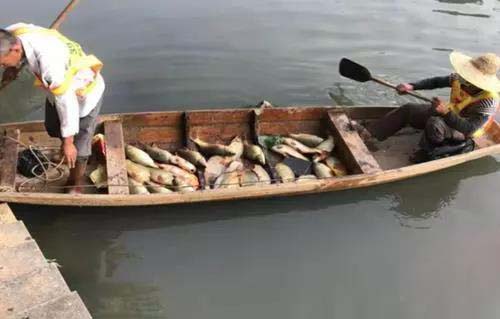 廣（guǎng）州旺旺食品廢水直排，永和河大量魚類（lèi）死亡