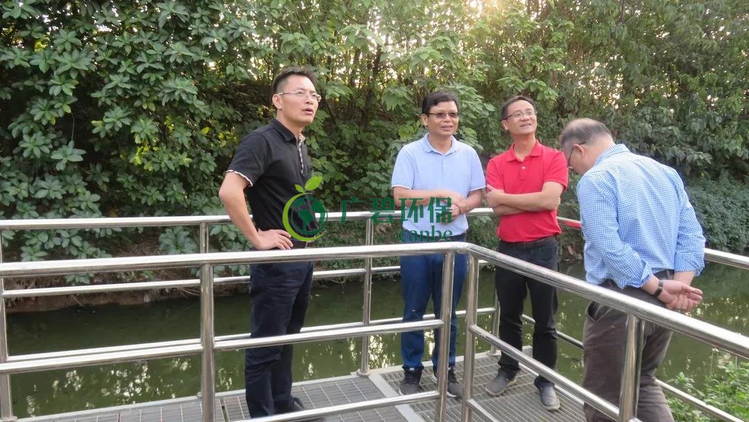 佛山獅山鎮萬裏長城湧流域開展巡河和調研工作(圖2)