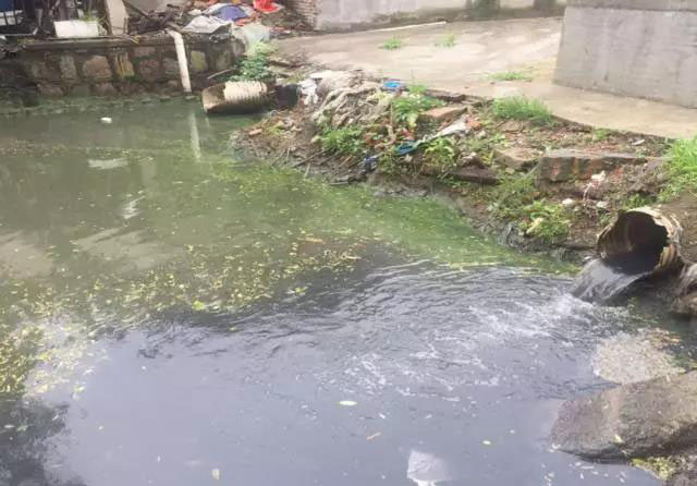 佛山南海黑臭河（hé）道生物治理案例