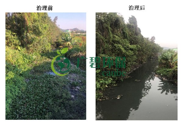 廣碧環保金陡湧河湧黑臭水體（tǐ） 治理服務項目順利通過驗收(圖7)