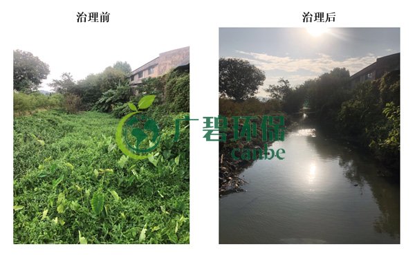 廣碧環保金陡（dǒu）湧（yǒng）河湧黑臭水體 治理服（fú）務項目順利（lì）通過驗收(圖8)