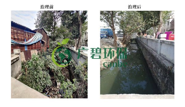 廣碧環保金陡湧河湧黑臭水體 治理服務項目順利通過驗收(圖1)