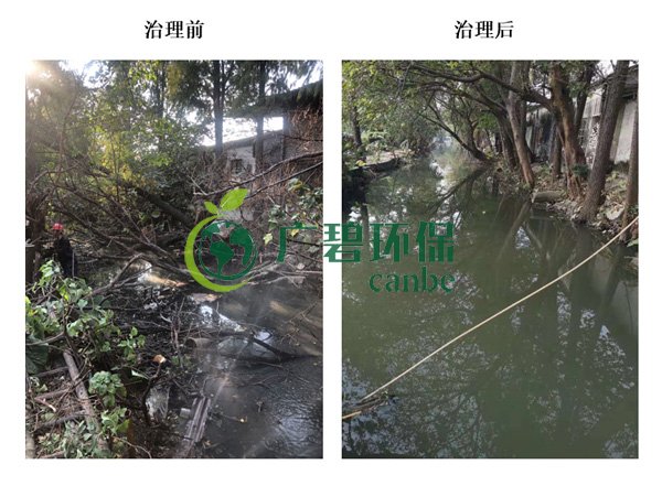 廣碧環保金陡湧河湧黑臭水體 治理服務項目順利通過驗收(圖（tú）4)