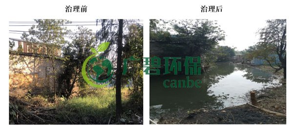 廣（guǎng）碧環保金陡湧河湧黑臭水體 治理服務項目順利通（tōng）過驗收(圖5)