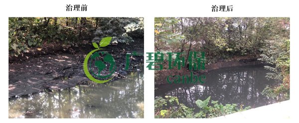 廣碧環保金（jīn）陡湧河（hé）湧（yǒng）黑臭水（shuǐ）體 治理服務項目順利通過驗（yàn）收(圖6)