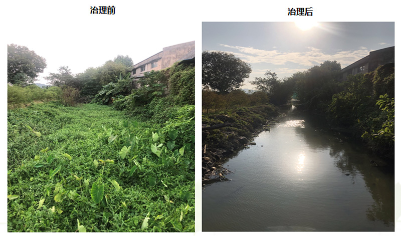 金陡湧水係黑臭水體綜（zōng）合治理工程(圖1)