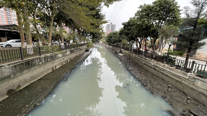 順德大良石洛湧、八坊湧整治見成效(圖3)