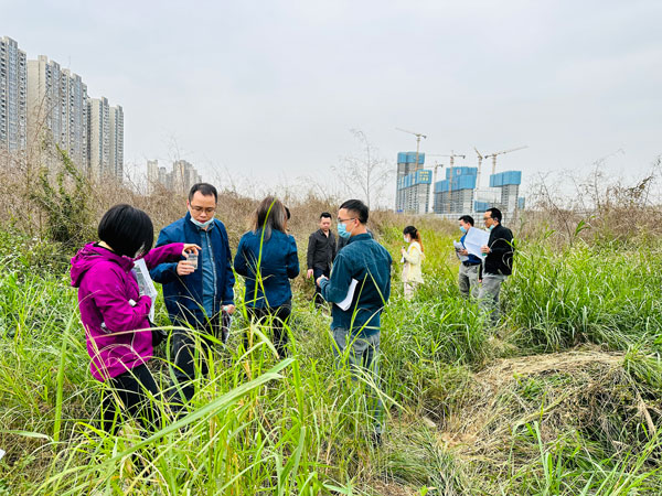 樂從小布村原鋼鐵市場（chǎng）一地塊通（tōng）過專家評審